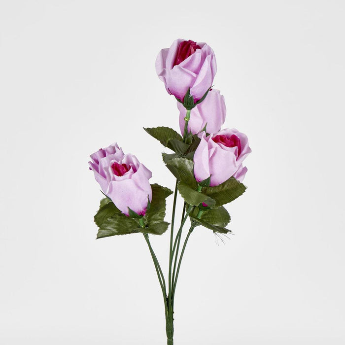 Rosebud Bush Multi Box of 60 30 pcs