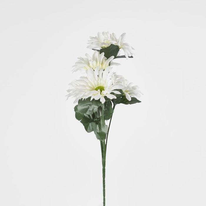 Gerbera Bush Light Asstd Box of 60 30 pcs