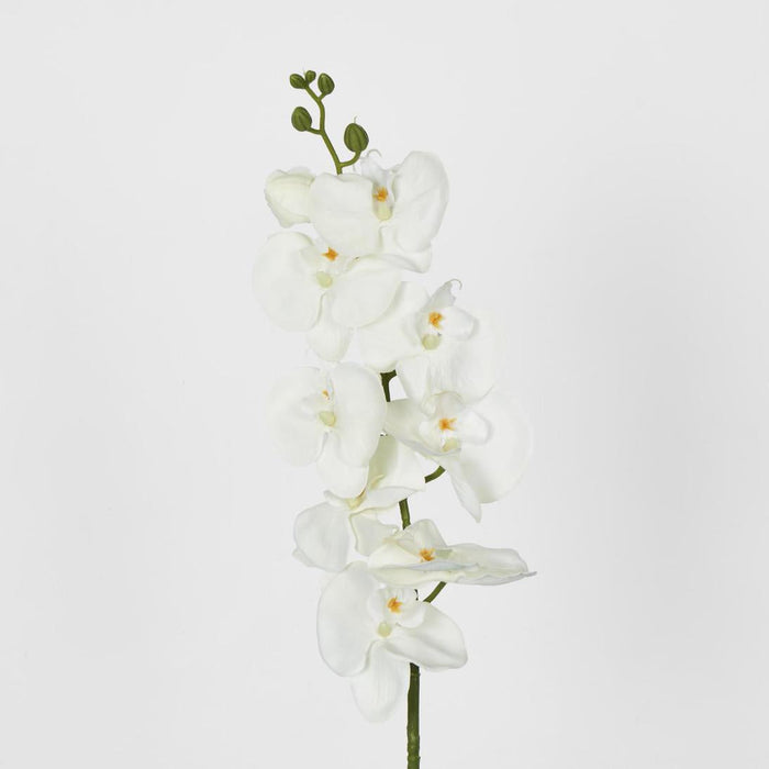 Moth Phalaenopsis Orchid Spray White 6 pcs