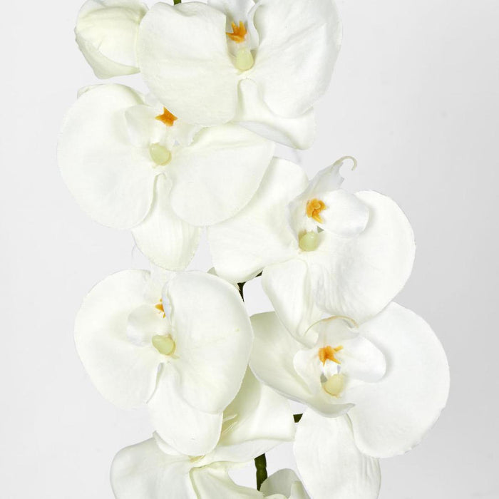 Moth Phalaenopsis Orchid Spray White 6 pcs