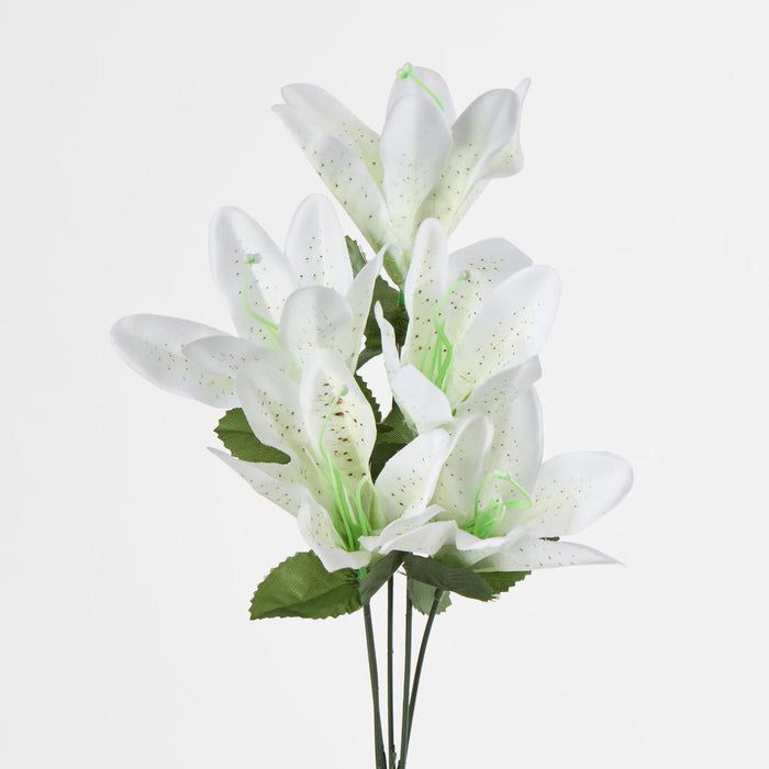 Tiger Lily Bush 4 Colours Box of 60 30 pcs