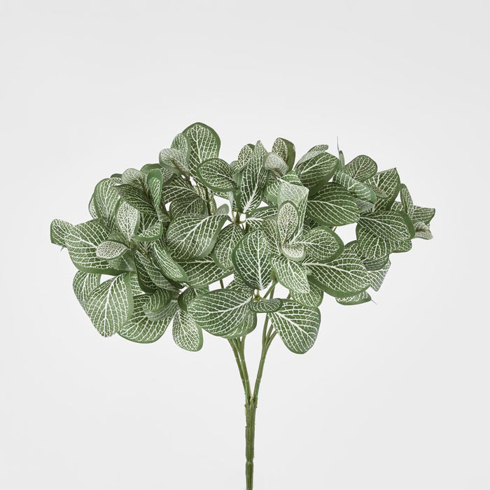 Watermelon Leaf Bush set of 15