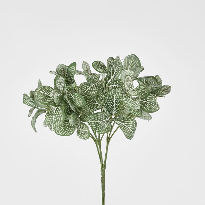 Watermelon Leaf Bush set of 15