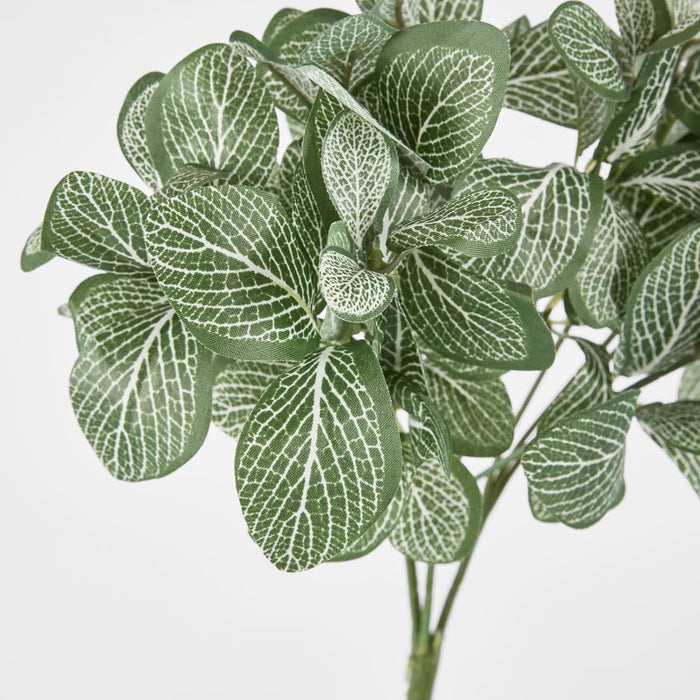 Watermelon Leaf Bush set of 15