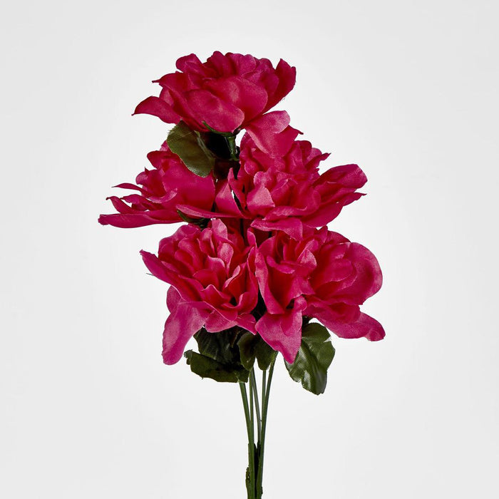 Dahlia Bush Asstd Sold in Box Qty Only 30 pcs