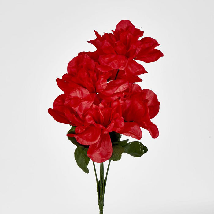 Dahlia Bush Asstd Sold in Box Qty Only 30 pcs