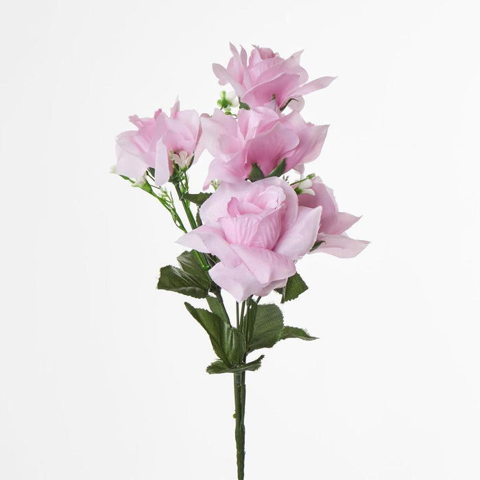 Rose Bush B Asstd Box of 60 30 pcs