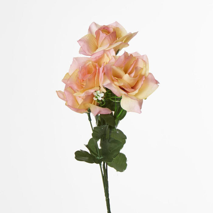 Rose Bush B Asstd Box of 60 30 pcs