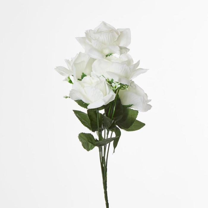 Rose Bush B Asstd Box of 60 30 pcs