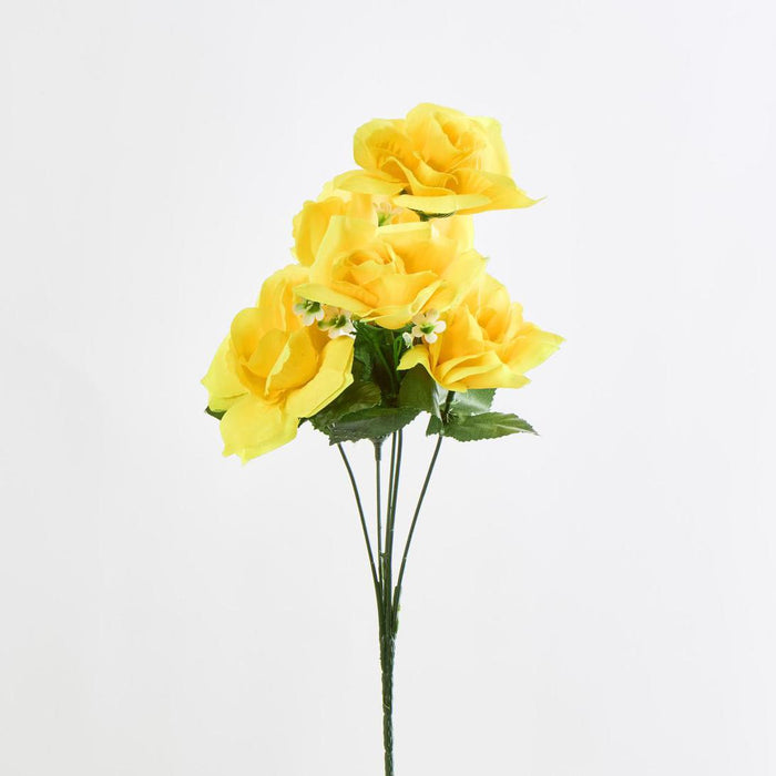 Rose Bush C Asstd Box of 60 30 pcs