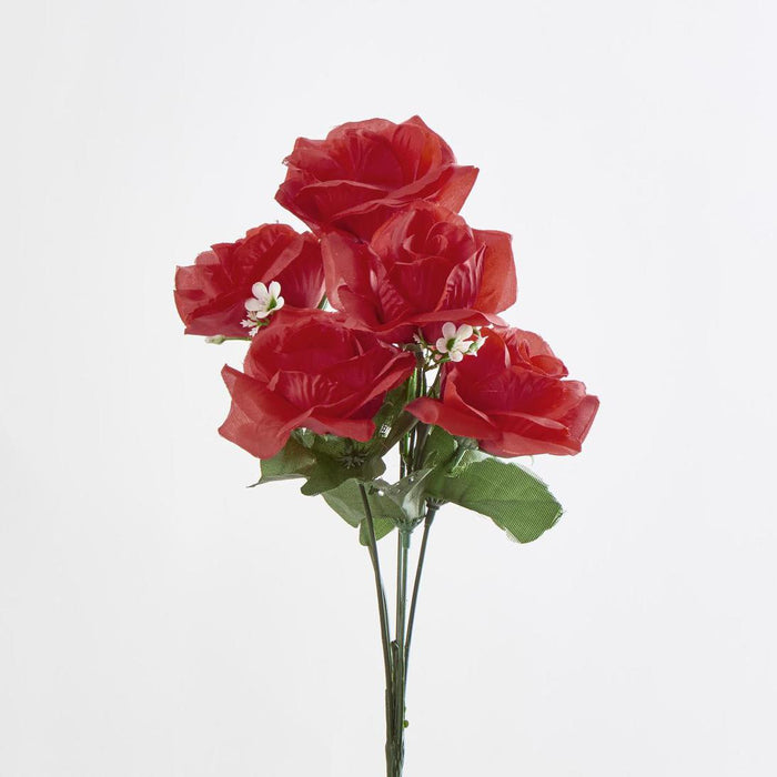 Rose Bush C Asstd Box of 60 30 pcs