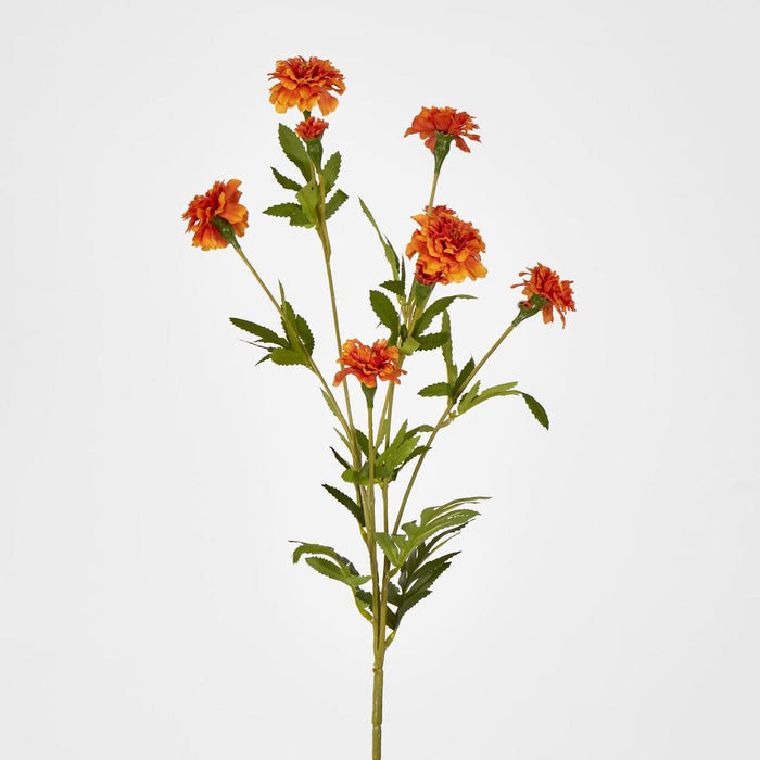 Marigold Spray Orange 6 pcs