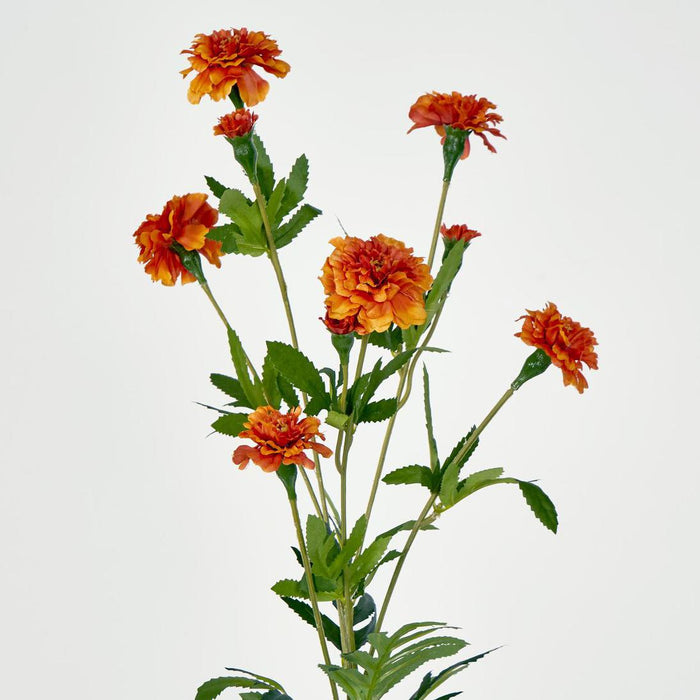 Marigold Spray Orange 6 pcs