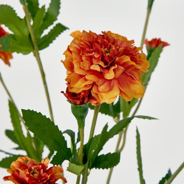 Marigold Spray Orange 6 pcs