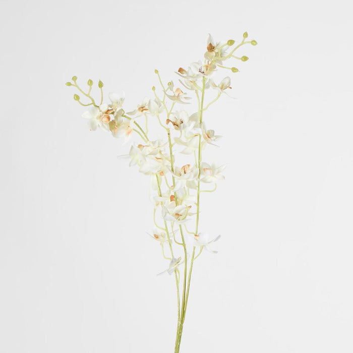 Dendrobium Spray White 6 pcs