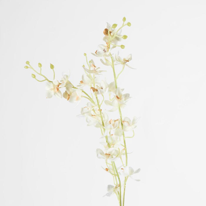 Dendrobium Spray White 6 pcs
