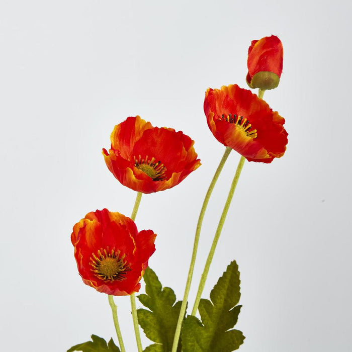 Mini Poppy Spray Orange 18 pcs