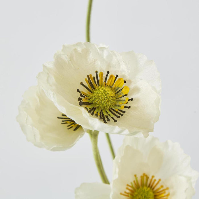 Mini Poppy Spray White 18 pcs