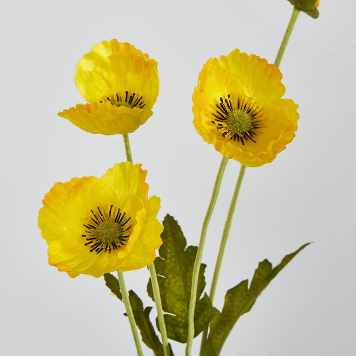 Mini Poppy Spray Yellow 18 pcs