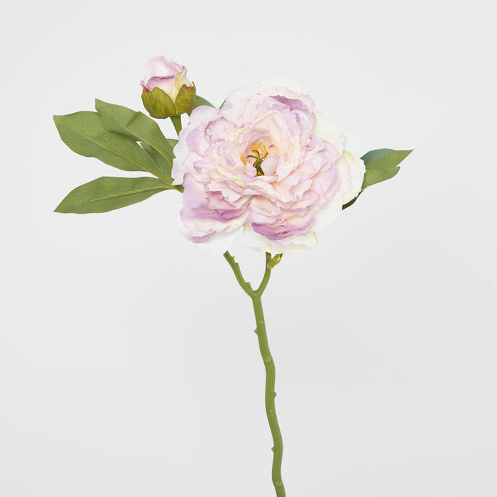 Peony Stem With Bud 48cm Light Pink 18 pcs