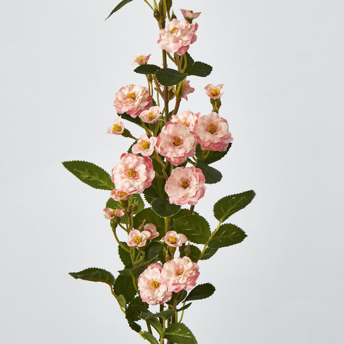 Burma Rose Spray Pink 6 pcs
