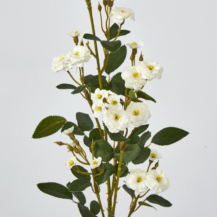 Pom Pom Rose Spray White 6 pcs