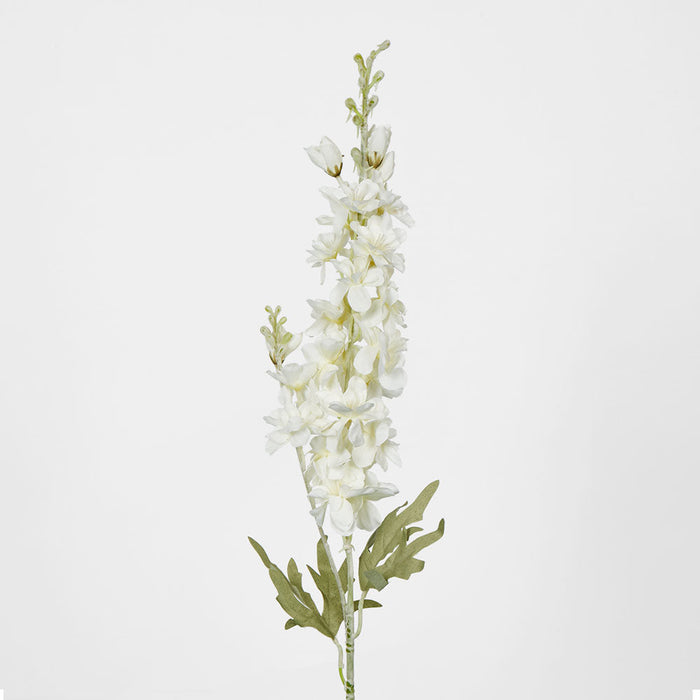 Delphinium 85cm White 6 pcs