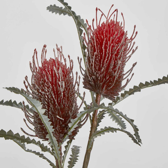 Banksia Double Spray Red