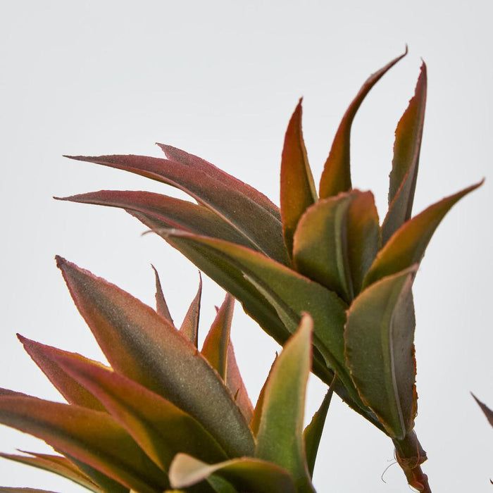 Pine Leaf Spray Pink set of 6