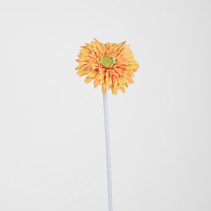 Gerbera Stem Orange 36 pcs