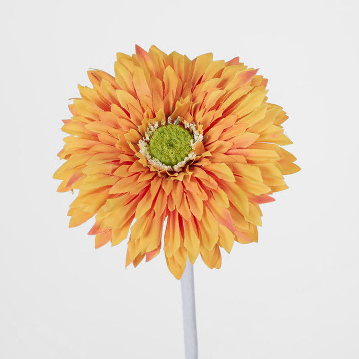 Gerbera Stem Orange 36 pcs