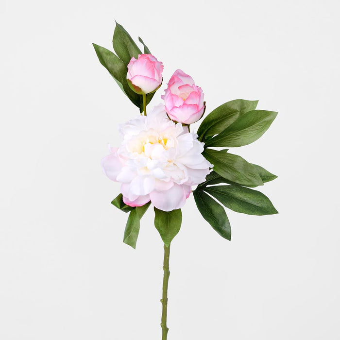 Peony With Two Buds Stem Pink 18 pcs