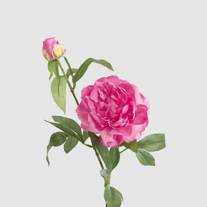 Peony 69cm Floral Stem Hot Pink
