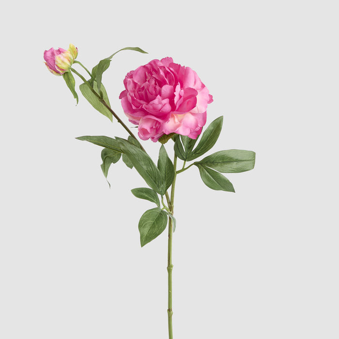 Peony 69cm Floral Stem Hot Pink