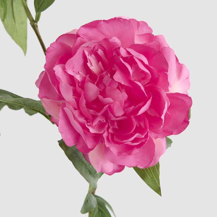 Peony 69cm Floral Stem Hot Pink