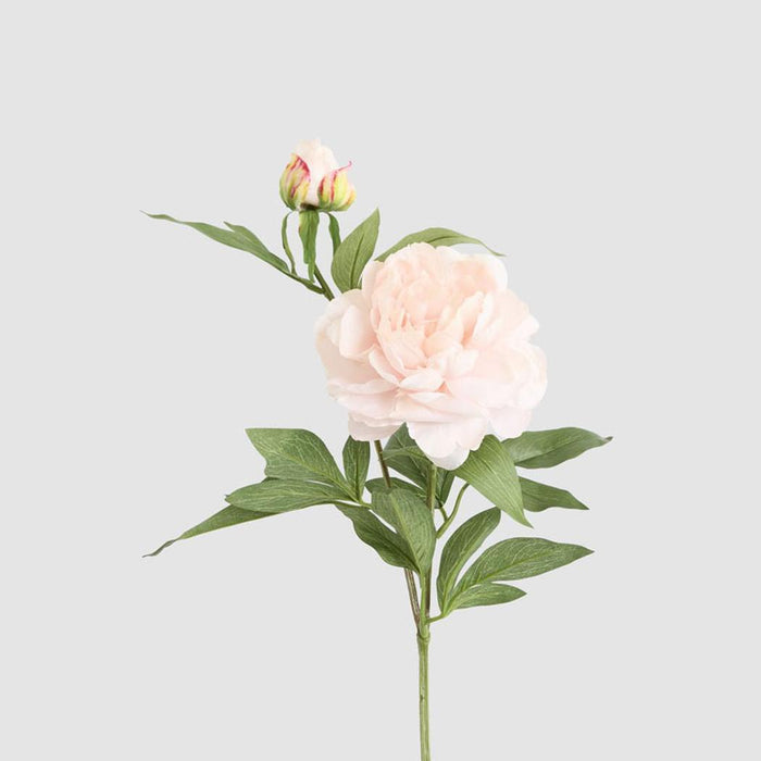 Peony 69cm Floral Stem Blush Pink