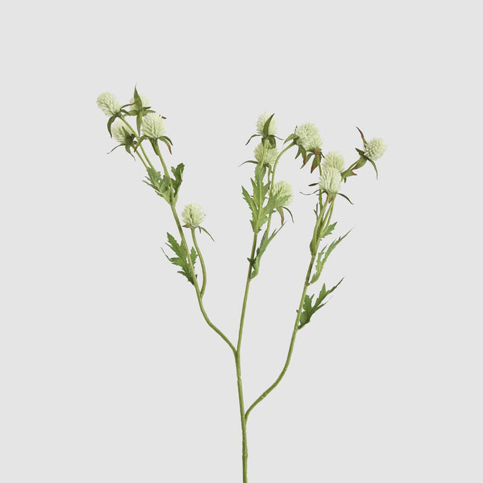 Thistle Spray 73cm White