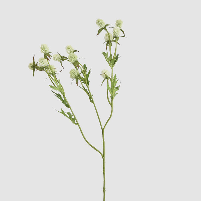 Thistle Spray 73cm White