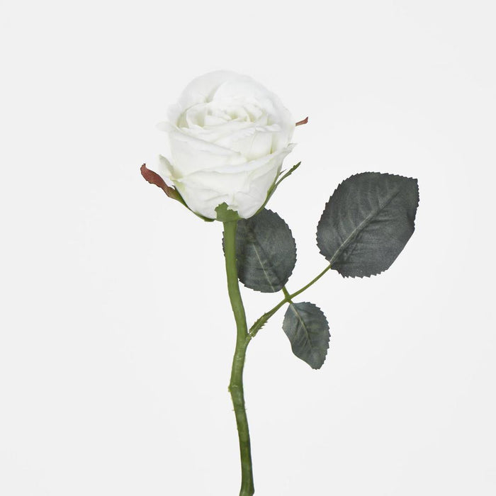Jessica Rose Bud 31cm White 12 pcs