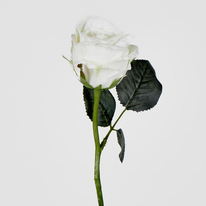 Jessica Rose Bud 31cm White 12 pcs