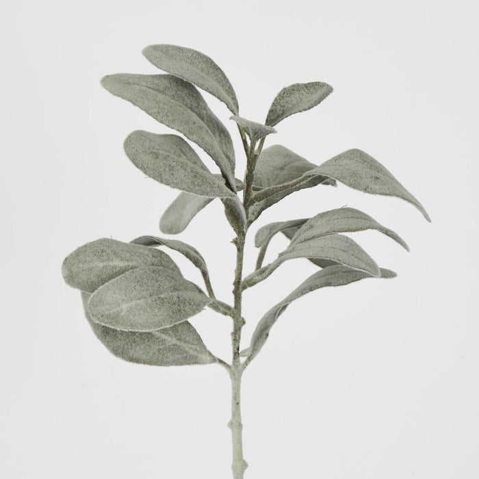 Lambs Ear leaf Spray Dark Green set of 12