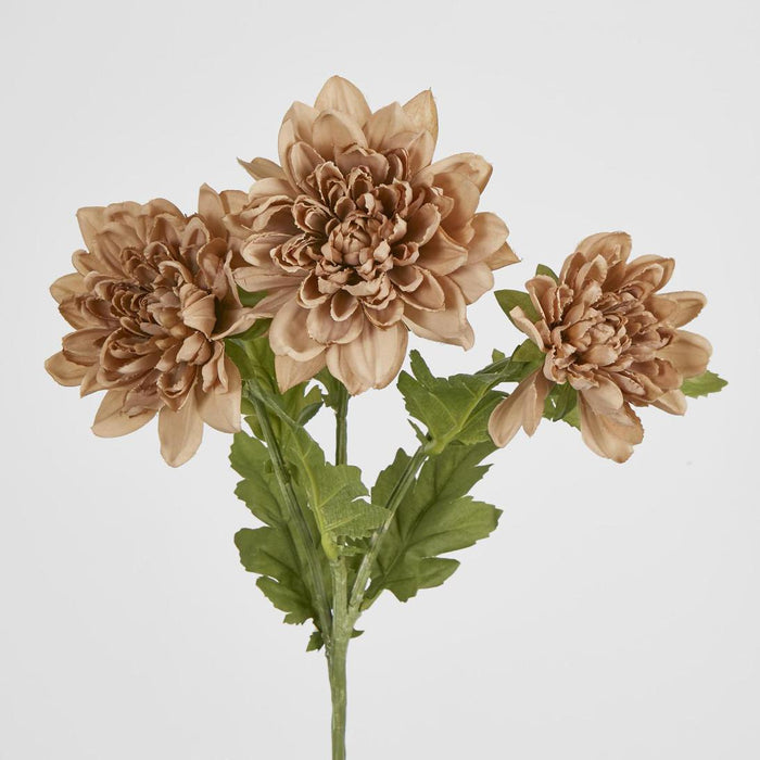 Chrysanthemum Spray Brown
