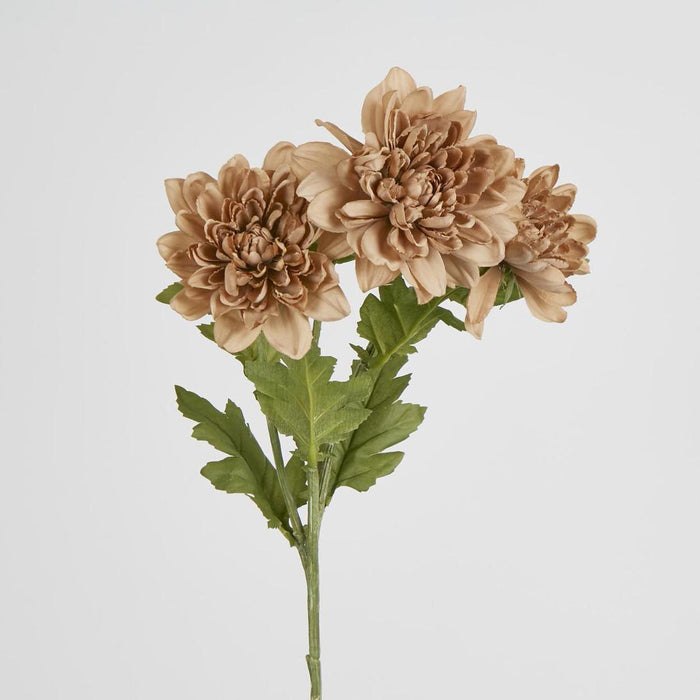 Chrysanthemum Spray Brown