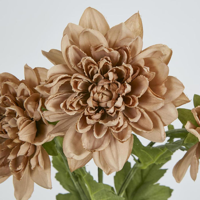 Chrysanthemum Spray Brown