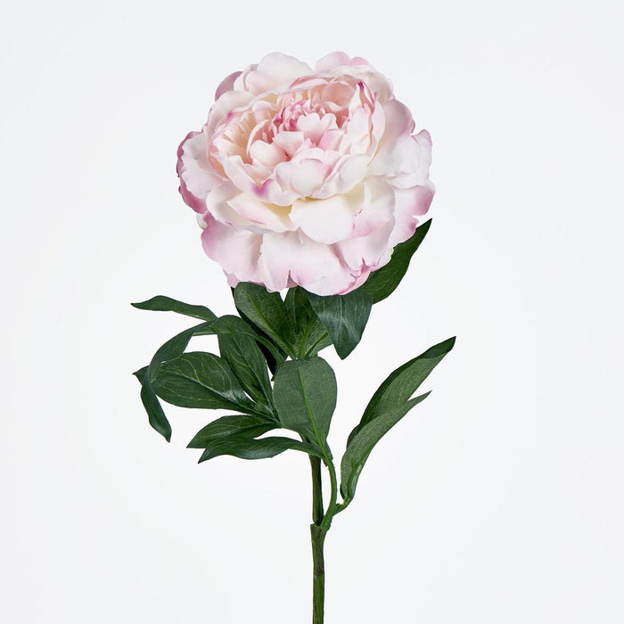 Peony Stem 66cm Pink 6 pcs