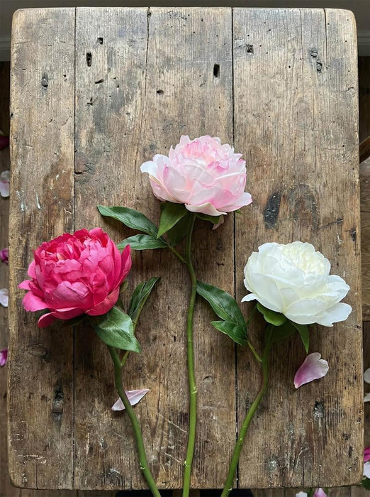 Peony Stem 66cm Pink 6 pcs