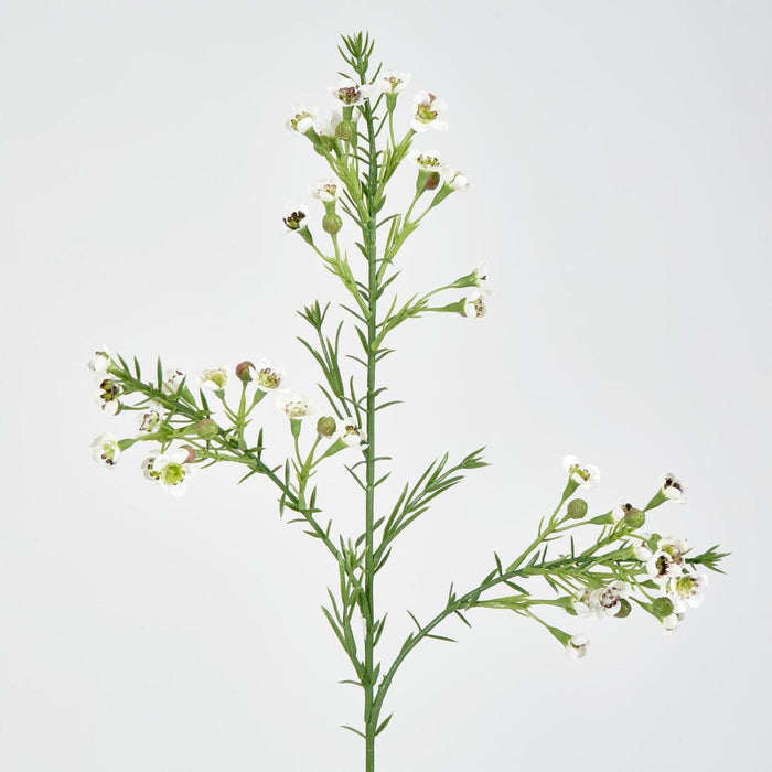 Wax Flower Cream 64cm 6 pcs