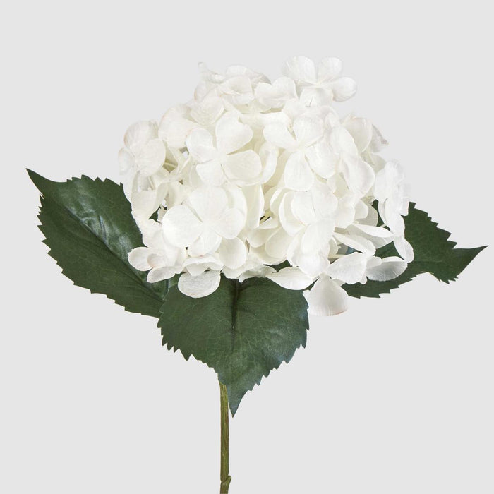 Hydrangea 62cm White 6 pcs