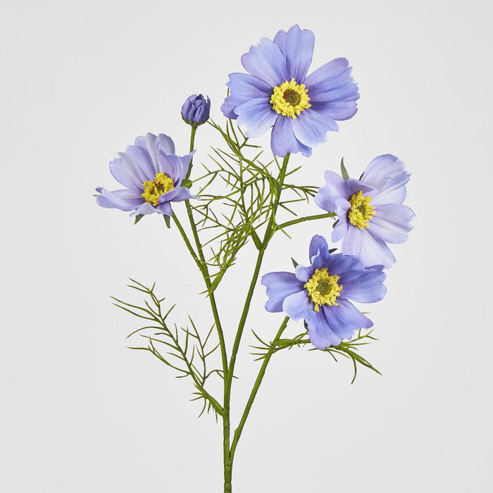Cosmos Spray 64cm Lavender 12 pcs