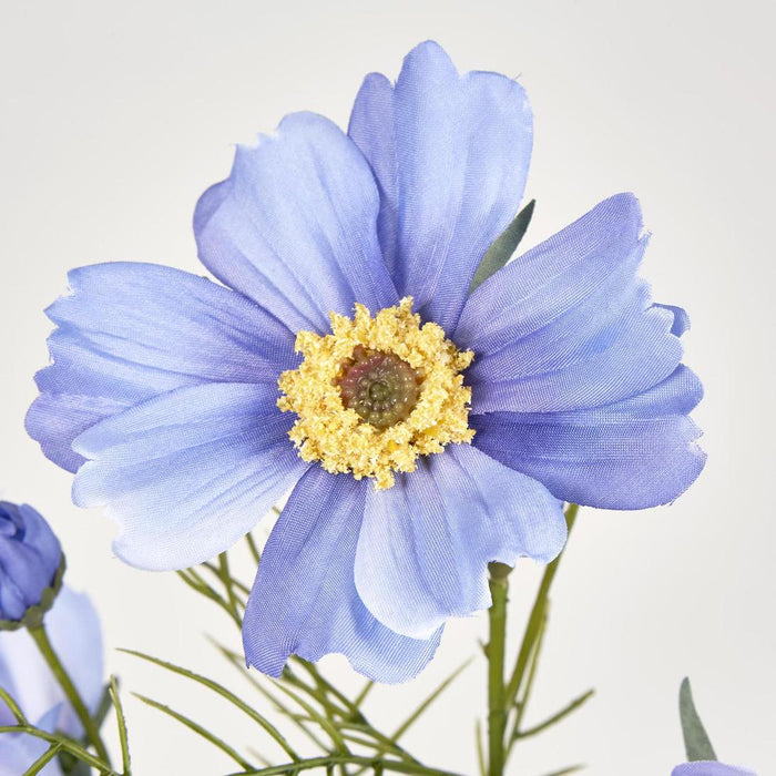 Cosmos Spray 64cm Lavender 12 pcs